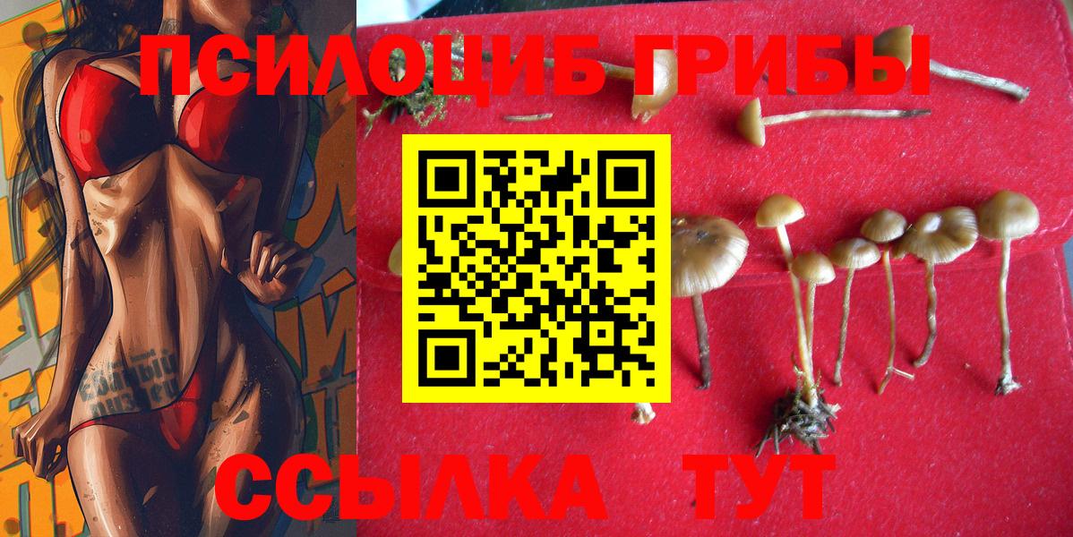 Псилоцибиновые грибы мухоморы Дубна